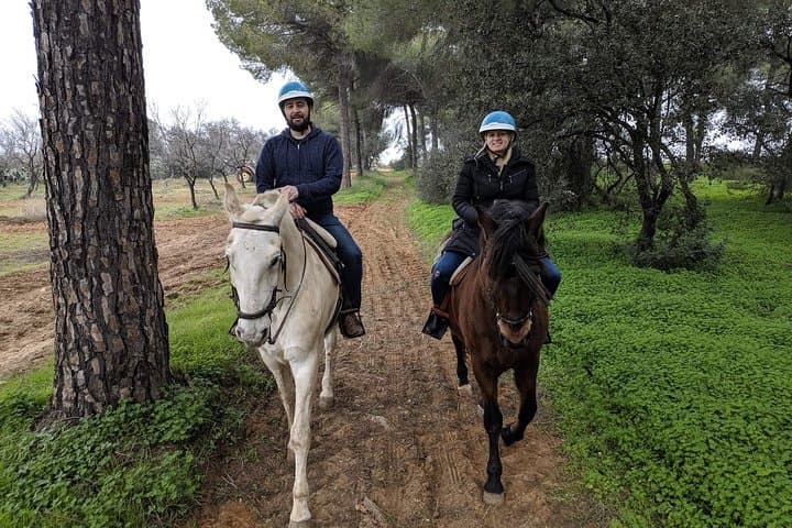 Horseback Riding in Parque Natural Doñana, Sevilla
