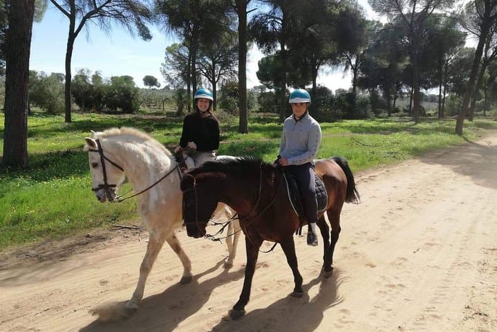 Horseback Riding Exclusive for Couples, in Parque Natural Doñana, Sevilla