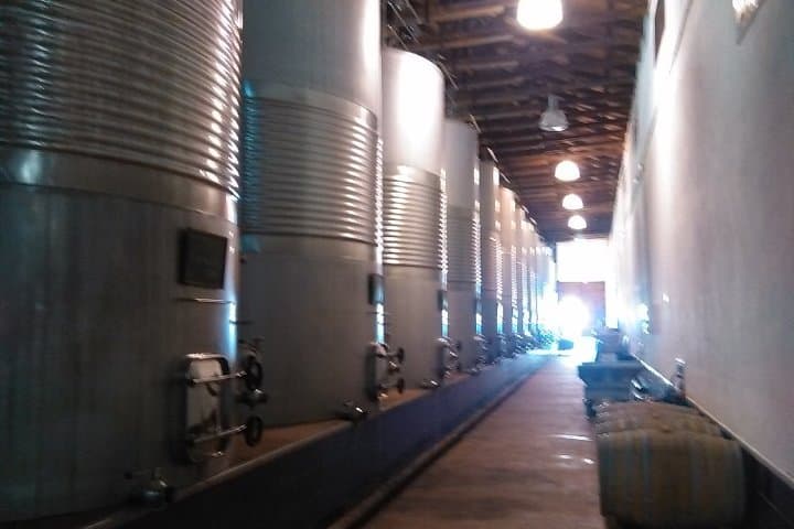 Toledo, Windmills, Winery Small Group Tour with Lunch from Madrid