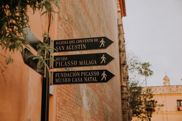 Private visit to Picasso Museum in Malaga with official tour guide