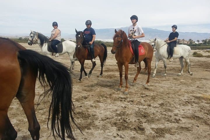 Horseback Riding Beach in Roquetas de Mar and Almerimar