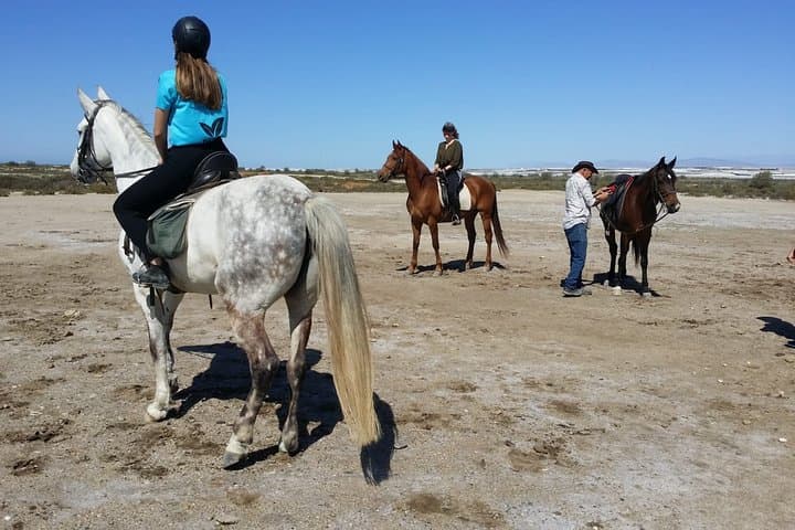 Horseback Riding Beach in Roquetas de Mar and Almerimar