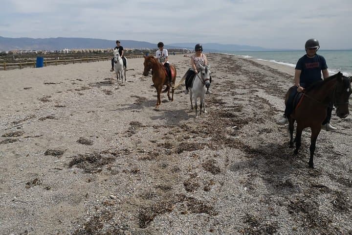 Horseback Riding Beach in Roquetas de Mar and Almerimar