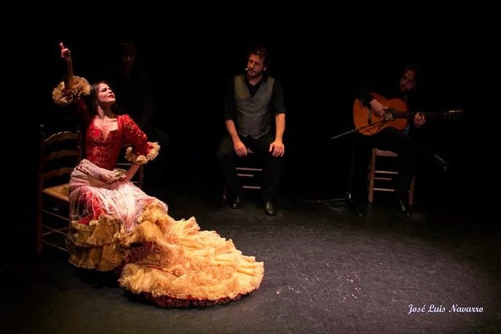 Flamenco Show Tickets to the Triana Flamenco Theater
