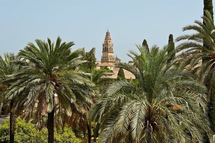Cordoba Private Walking Tour with a Professional Guide