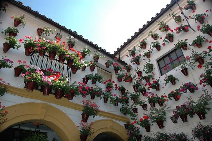 9-Day guided tour Andalusia and Mediterranean Coast from Madrid