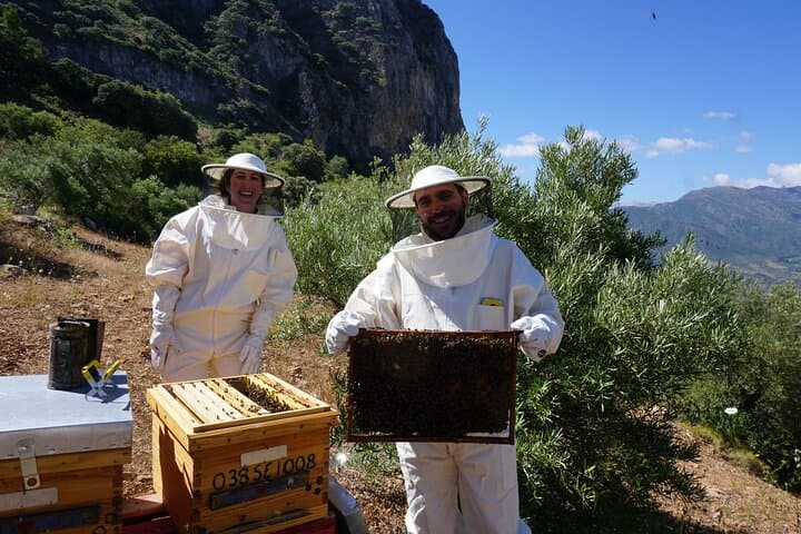 Bee Excursions in the Sierra de Cadiz