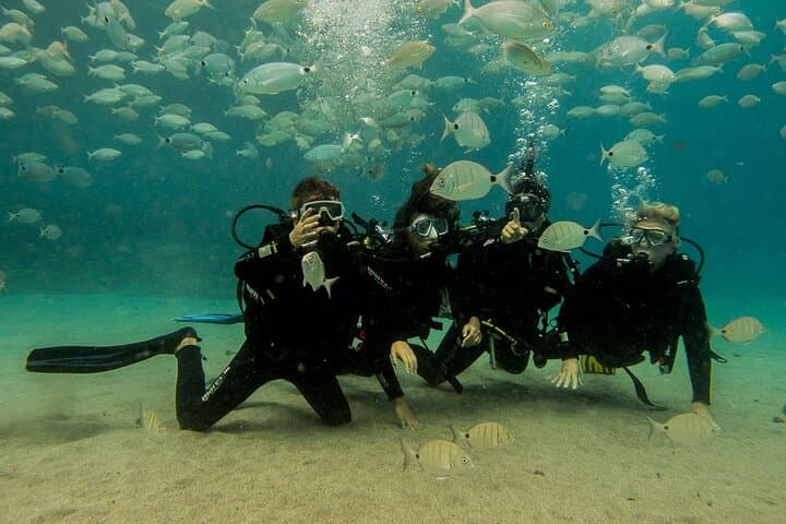 Discover Scuba Diving