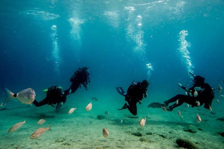 Discover Scuba Diving