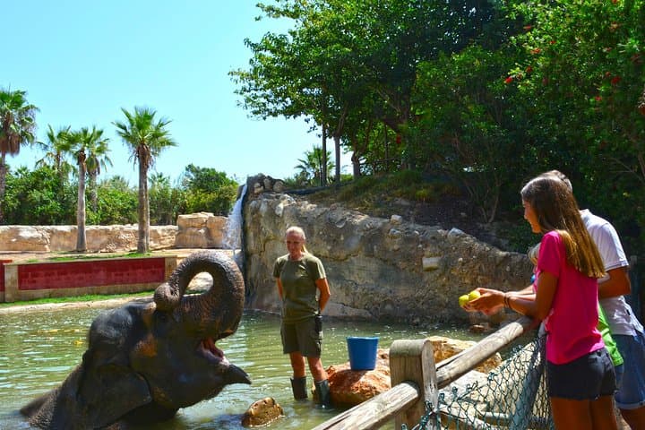 Zoo Experience