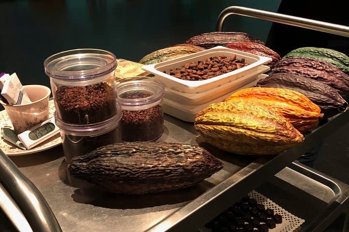 Touch and taste cocoa and chocolate