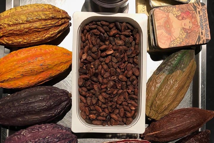 Learn about the origins of chocolate and understand the production