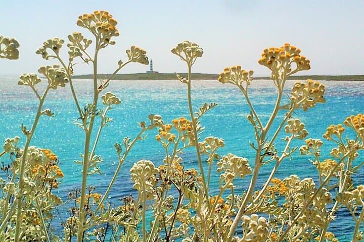 Isla del Aire
