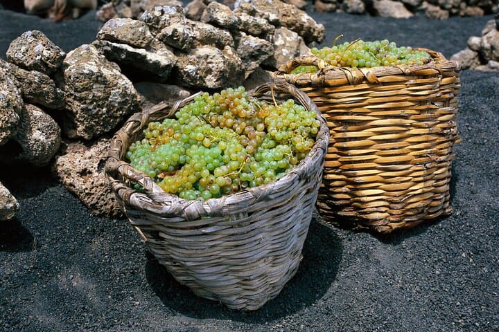 Grapes basket