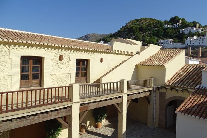 Guided Walking Tour of the Old Town of Frigiliana