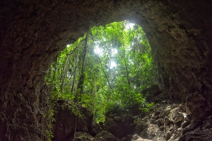 Private luxury Tour of Jameos del Agua and Cueva de los Verdes in Lanzarote