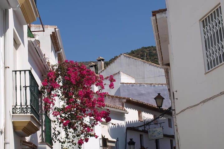 Authentic Andalusia - Jeep Eco Tour (pick up from Marbella - Estepona)