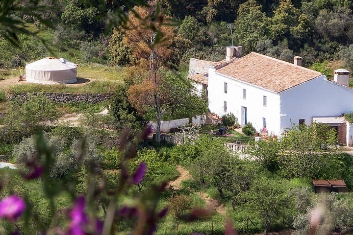 Dining Experience in the Mountains & discovering of Andalusia