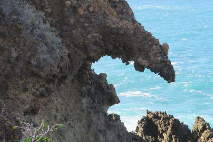 Boat Excursion to visit underwater lava tongues