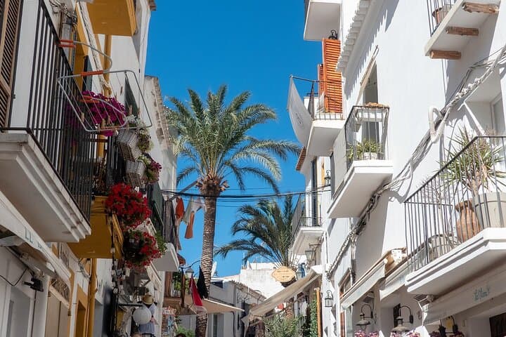 Ibiza old town Private Walking Tour with a Professional Guide