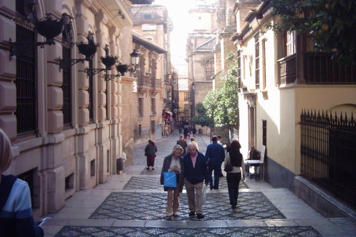 Granada Private Walking Tour with a Professional Guide