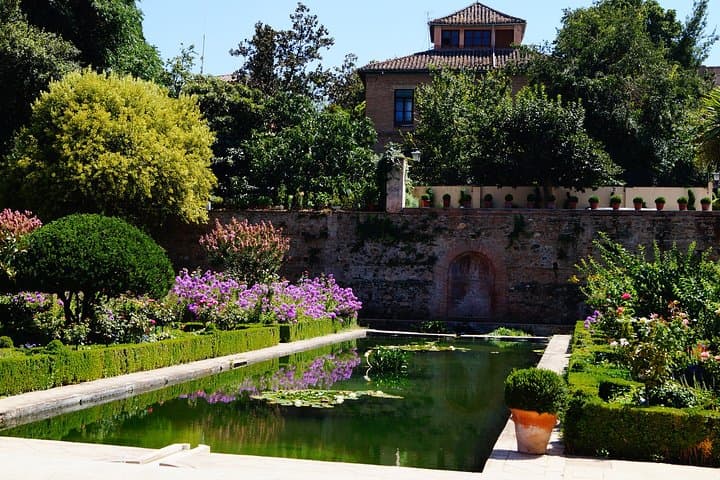 Private tour of Photography at best locations in Granada with a local
