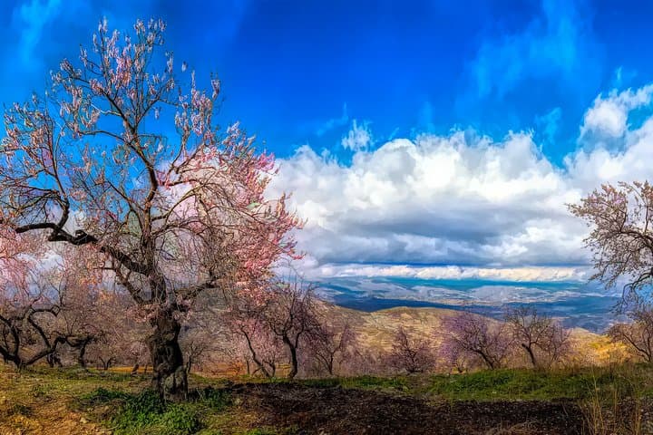 Touristic highlights of Sierra Nevada on a Private full day tour with a local