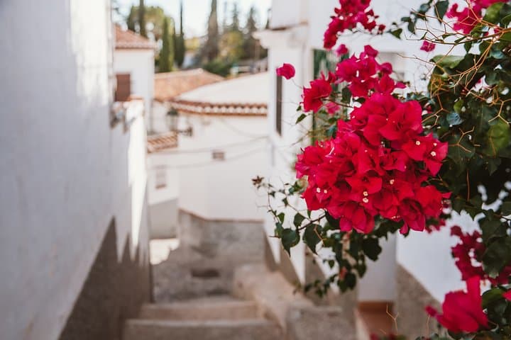 Walking around Albaicin and Sacromon