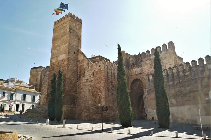 Alcazar of the Puerta de Sevilla