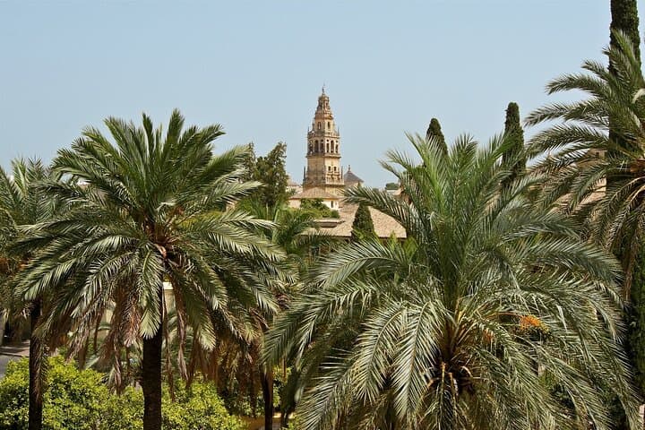 9-Day guided tour Andalusia and Mediterranean Coast from Madrid