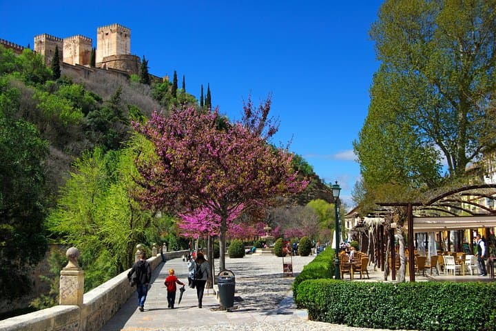 Alhambra and Albaicin+Sacromonte Premium Guided Tour