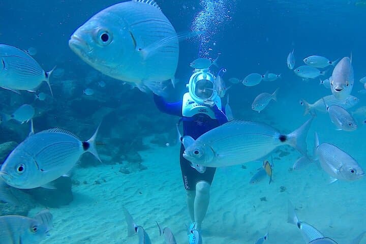 Sea Trek Diving Experience in Costa Teguise