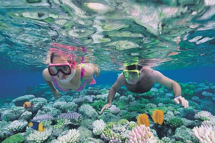 Snorkel Experience in Caleta de Fuste