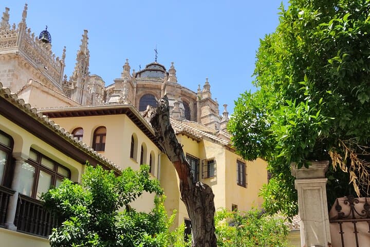 Private Tour: Historic Center of Granada