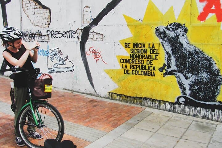 Barcelona Street Art and Bike Tour with Private Local Expert