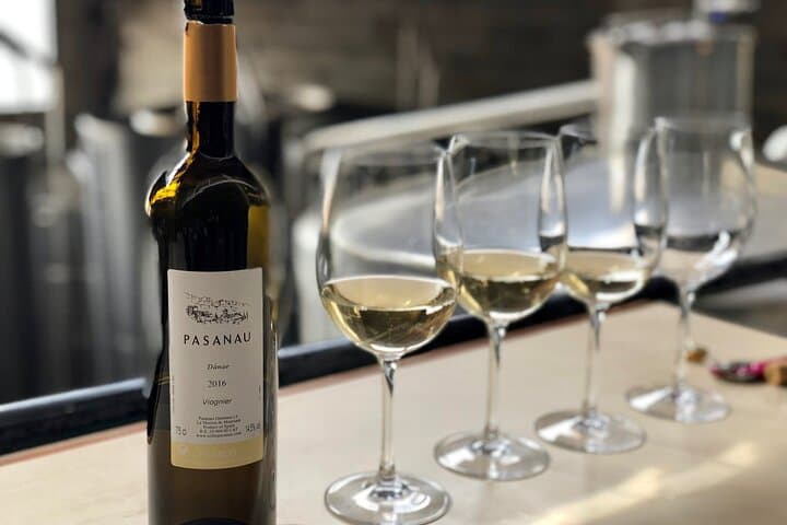 Private Priorat Tour with Wine Tastings & Lunch from Barcelona