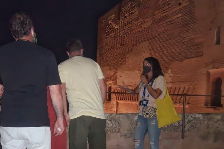 The magic of visiting the Alhambra at night-Private tour