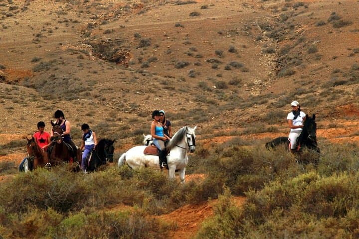 Horseback Riding in Fuerteventura for 1 or 2 hours, Spain