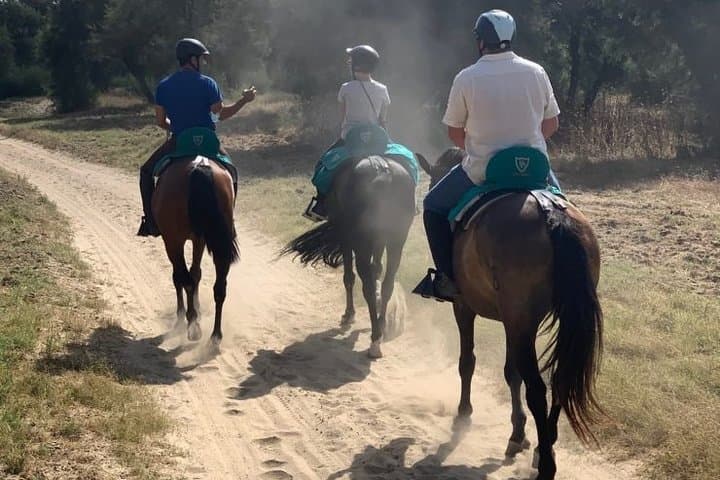 Horseback Riding in Parque Natural Doñana, Sevilla