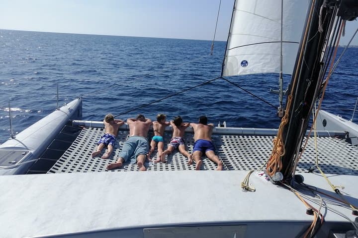 Catamaran F40 Lanzarote sailing