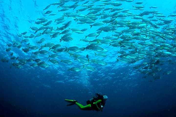 Scuba Diving Baptism in Costa Teguise, Lanzarote