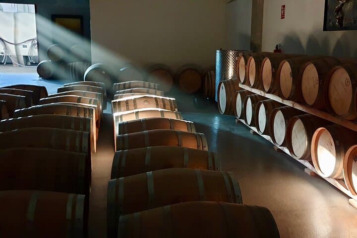 Visit and Wine Tasting at the Territorio Luthier Winery
