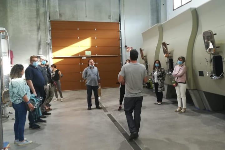 Visit and Wine Tasting at the Territorio Luthier Winery
