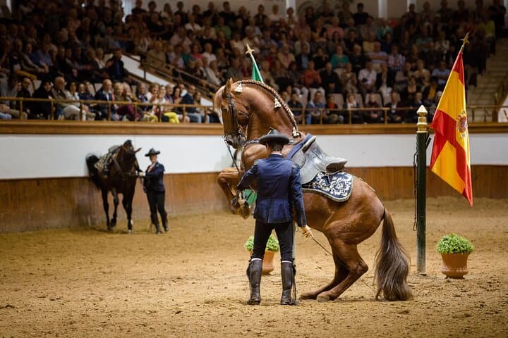 Andalusian Horses Dance Show