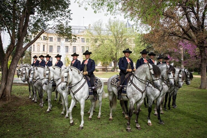 Andalusian Horses Dance Show