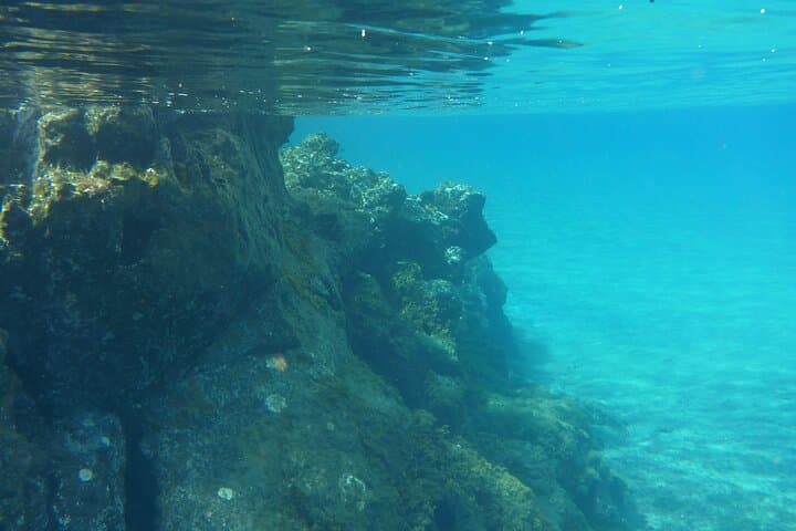 Boat Excursion to visit underwater lava tongues