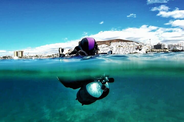 Discover the underwater world PHOTO AND VIDEO for free