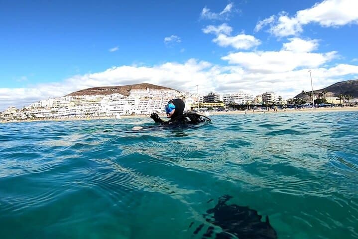 Discover the underwater world PHOTO AND VIDEO for free