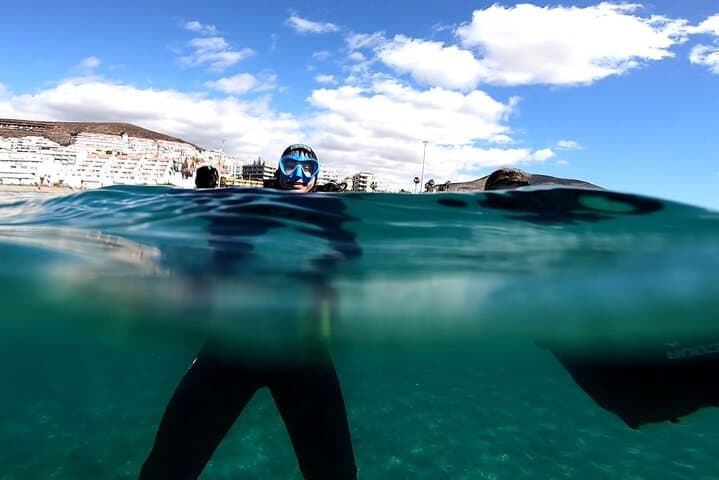 Discover the underwater world PHOTO AND VIDEO for free