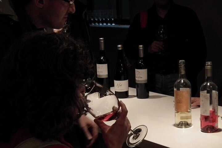 Private Wine and Oil Tour in the Priorat Wine Region